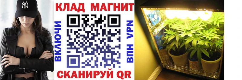 Где купить наркотики Новокубанск Гашиш  COCAIN  Меф  КЕТАМИН  Конопля  Alpha-PVP 