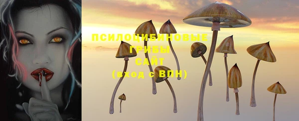 амфетамин Алексеевка