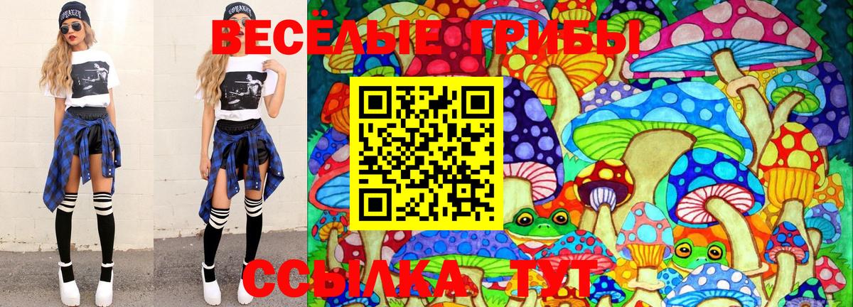 Галлюциногенные грибы Psilocybe Новокубанск