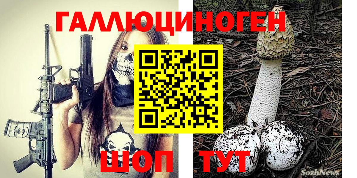 Галлюциногенные грибы ЛСД  Вход с VPN  Новокубанск  Галлюциногенные грибы Magic Shrooms 